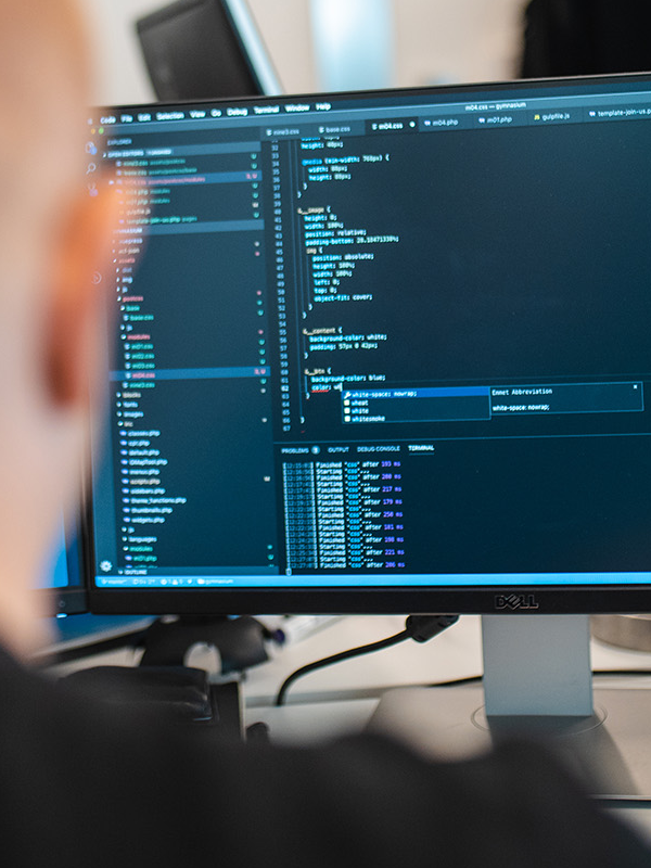 web-developer-screen