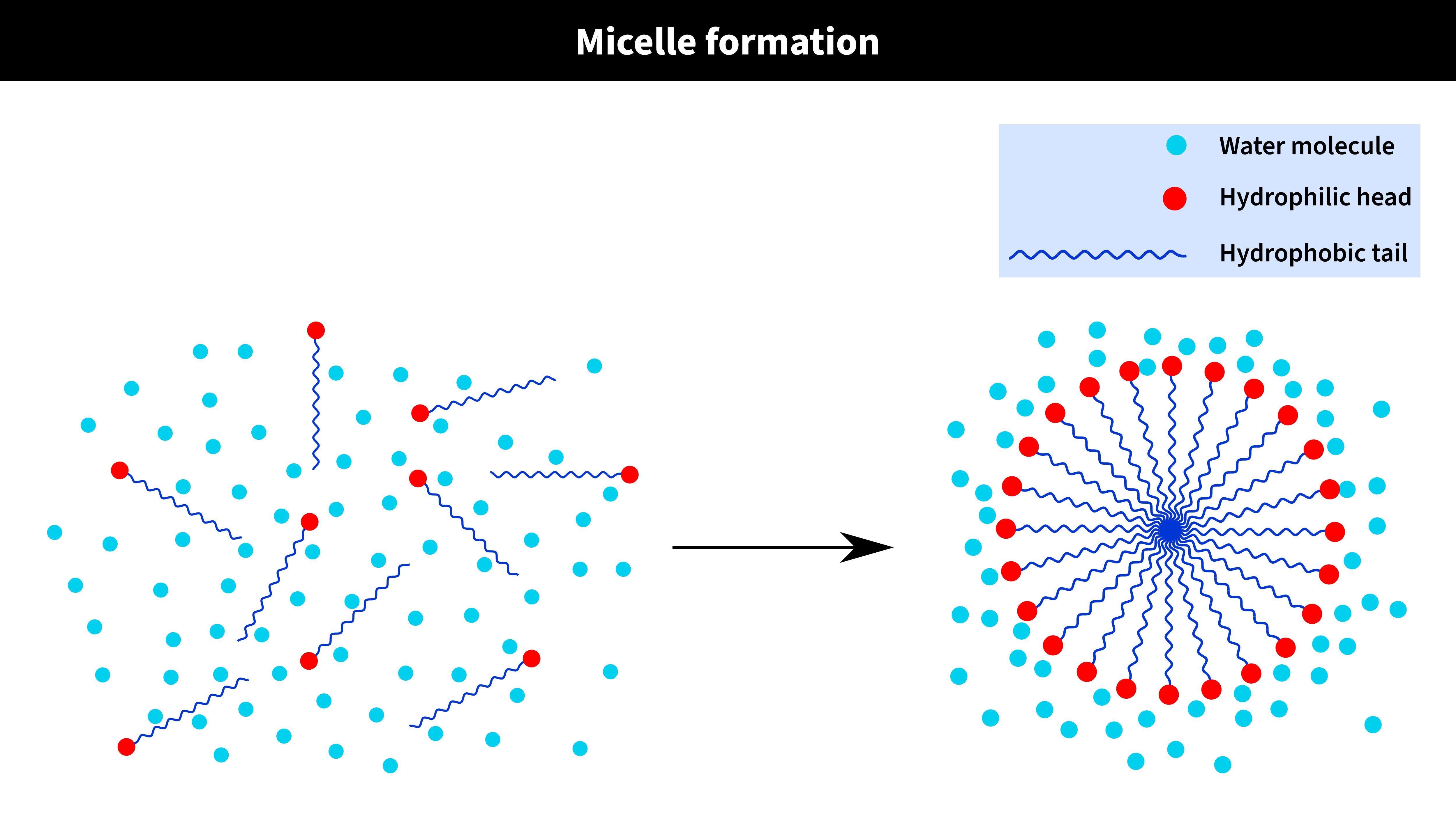 Micelle-Formation