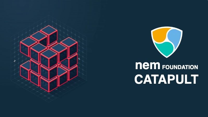 Tutellus y la Fundación NEM lanzamos el curso oficial de NEM Catapult