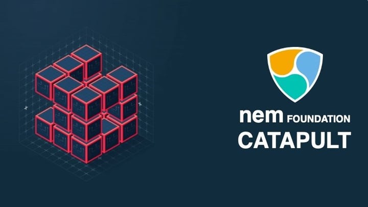Tutellus y la Fundación NEM lanzamos el curso oficial de Catapult
