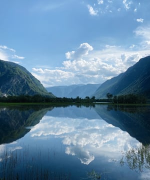 alexey-murzin-T8-Y9IwPFxE-unsplash