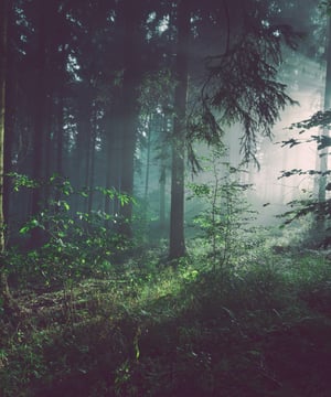 sebastian-unrau-sp-p7uuT0tw-unsplash