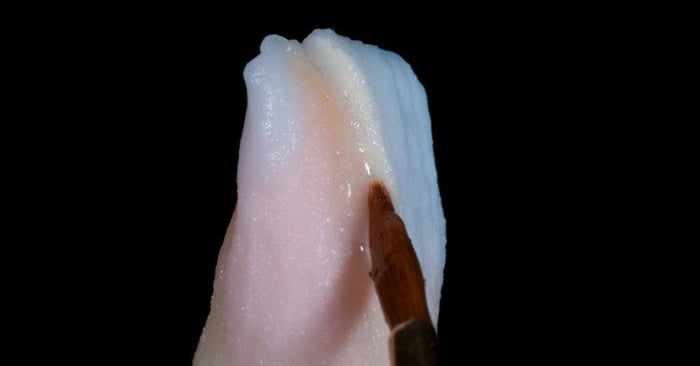 Maximizing Anterior Esthetics Virtual Workshop
