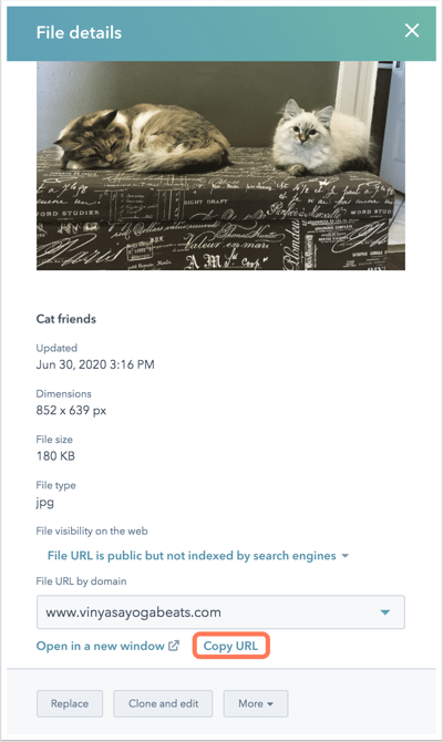 Administrar la URL de archivos cargados a la herramienta de archivos