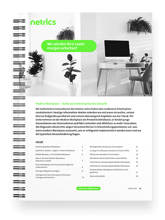 netrics-ebook-guide-modern-workplace-mockup-sheet