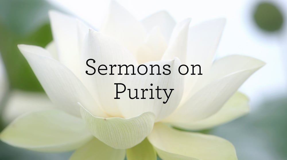 Sermons on Purity