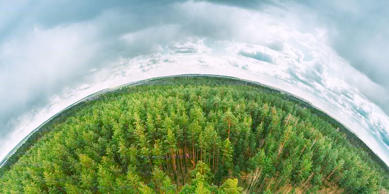 Environmental Risk Management (ERM)