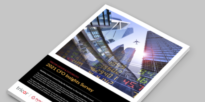 2021 CFO Insights Survey Report