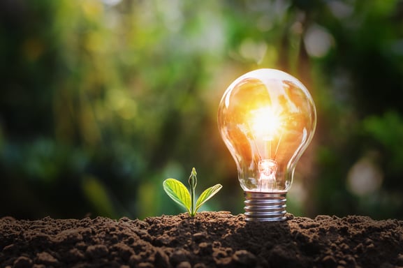 Think Sustainable Lightbulb