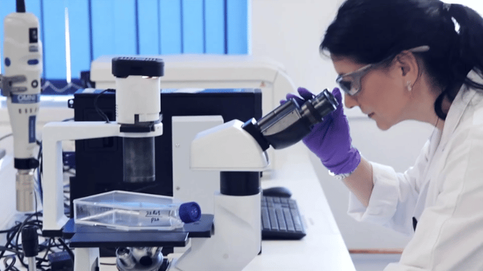 Introducing Sygnature and its integrated drug discovery process - Featured Image
