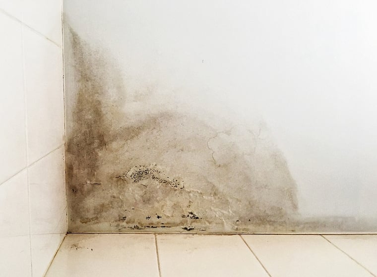 First Quality Roofing & Insulation Can Help You Cover Roof Leak Repair Cost First Quality Roofing & Insulation Can Help You Cover Roof Leak Repair Cost