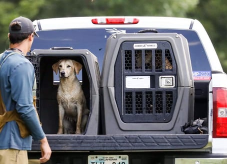 Gunner Kennel Crates in the back of a truck