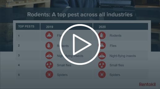 webinar_video_watch