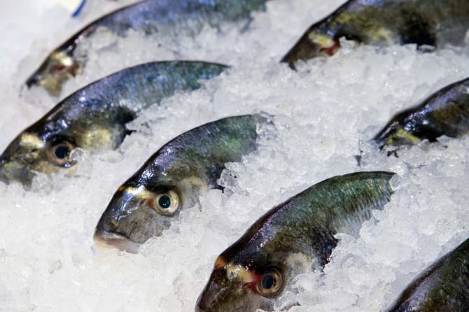 The Friday Five: So Long, and Thanks for All the Fish