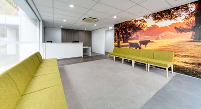 dental waiting room fitout