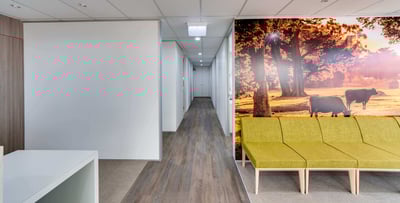 dental reception fitout