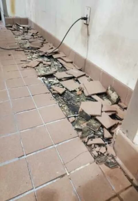 Rodizzio_MKE_Before_3