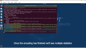 ubuntu