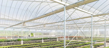 Daiwa Color Pipe | Corrosion-Resistant Steel Pipe for Agriculture Greenhouse