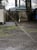 3010 Phyllis St NE 11 Salem OR 97305 - Preview 4