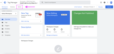 Granting Google Tag Manager access
