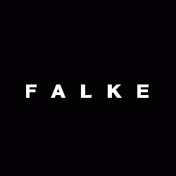 ERP Einführung FALKE image