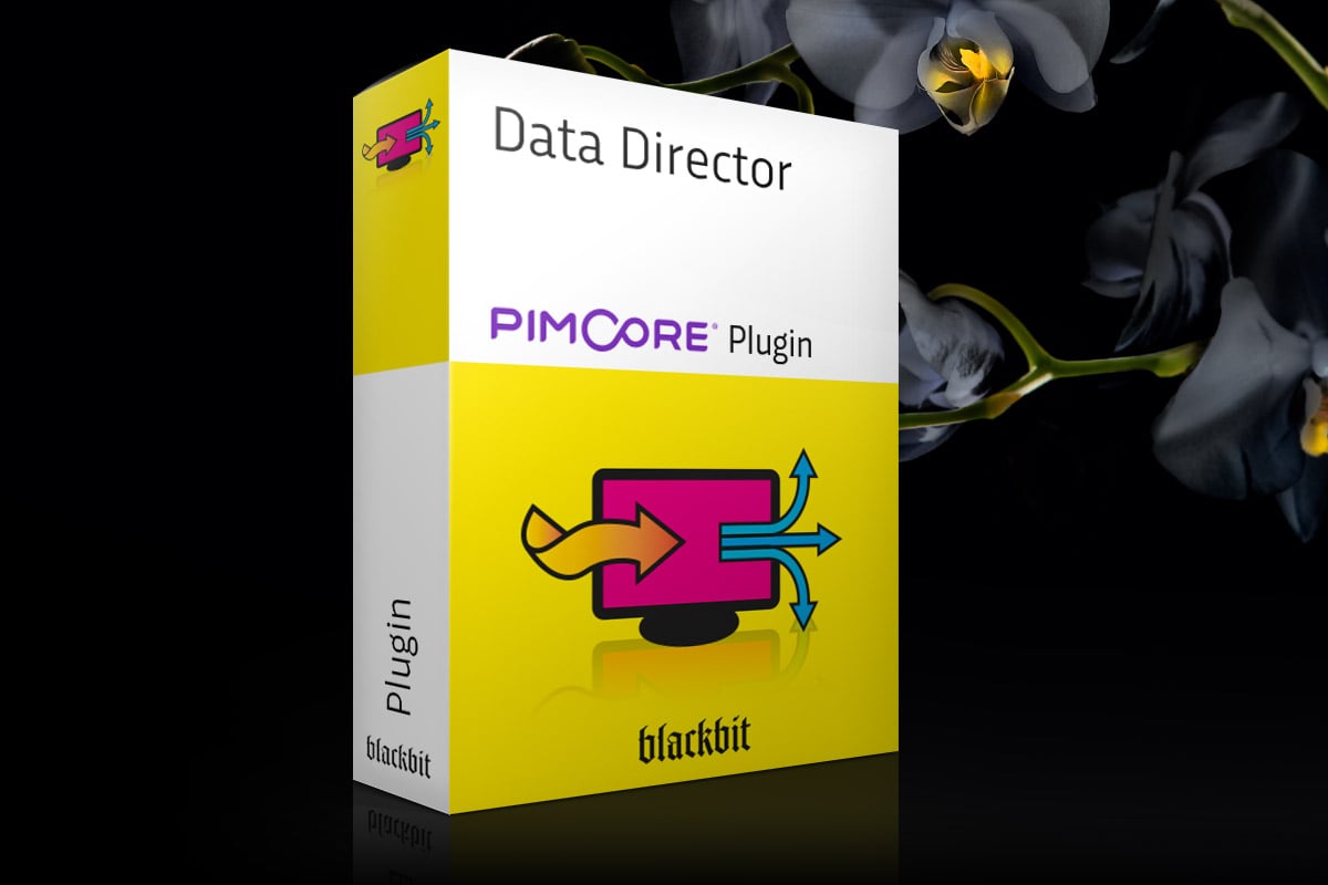 pimcore Data Director 2.5.0 