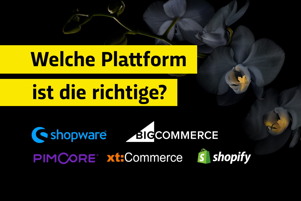 Welche E-Commerce-Plattform oder welcher Online-Shop ist der richtige?