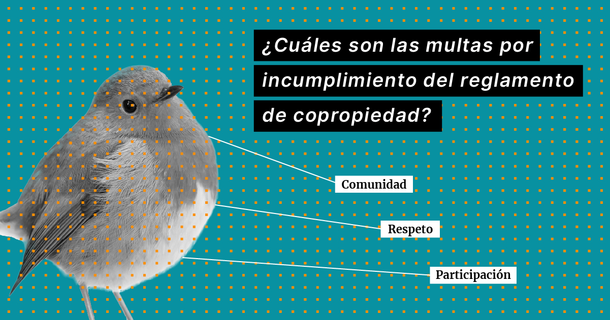como-y-cuales-son-las-multas-que-se-pueden-cobrar-por-incumplimiento-al-reglamento-de-comunidad