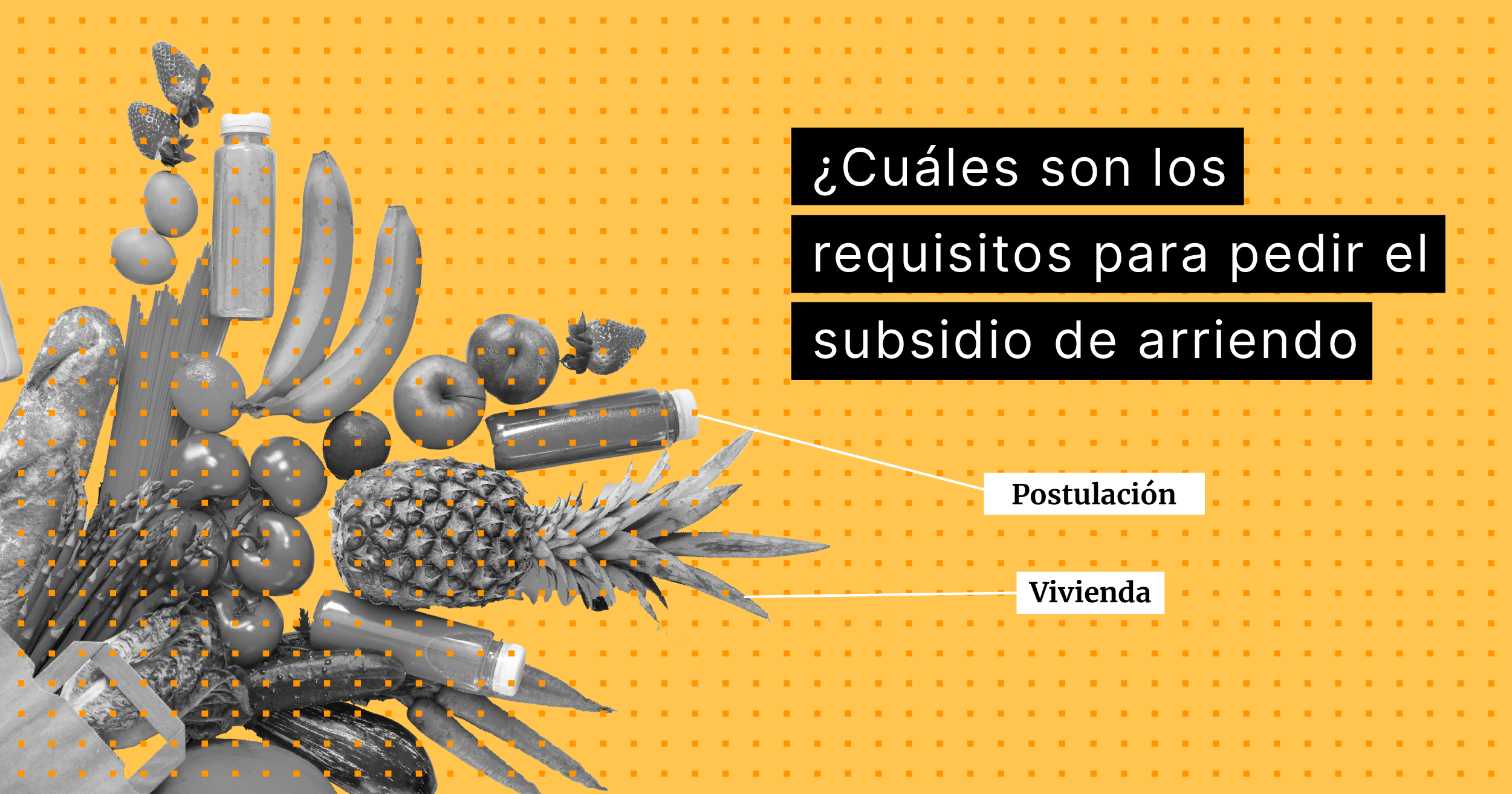 requisitos-subsidio-de-arriendo-01