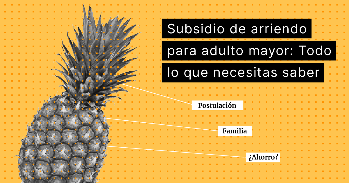 subsidio-arriendo-adulto-mayor