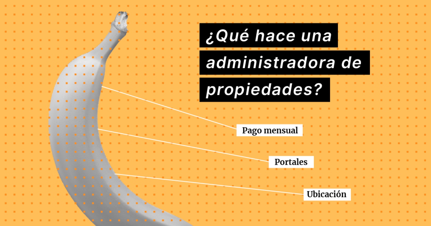 Screen Shot 2022-03-10 at 14.34.05