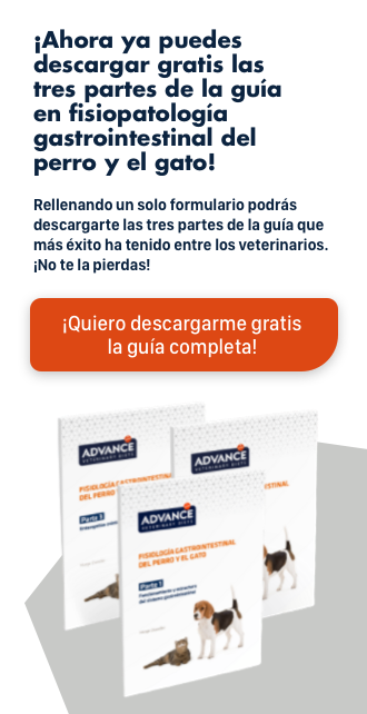 barato Virgen pubertad Parvovirosis canina: tratamiento y pronóstico