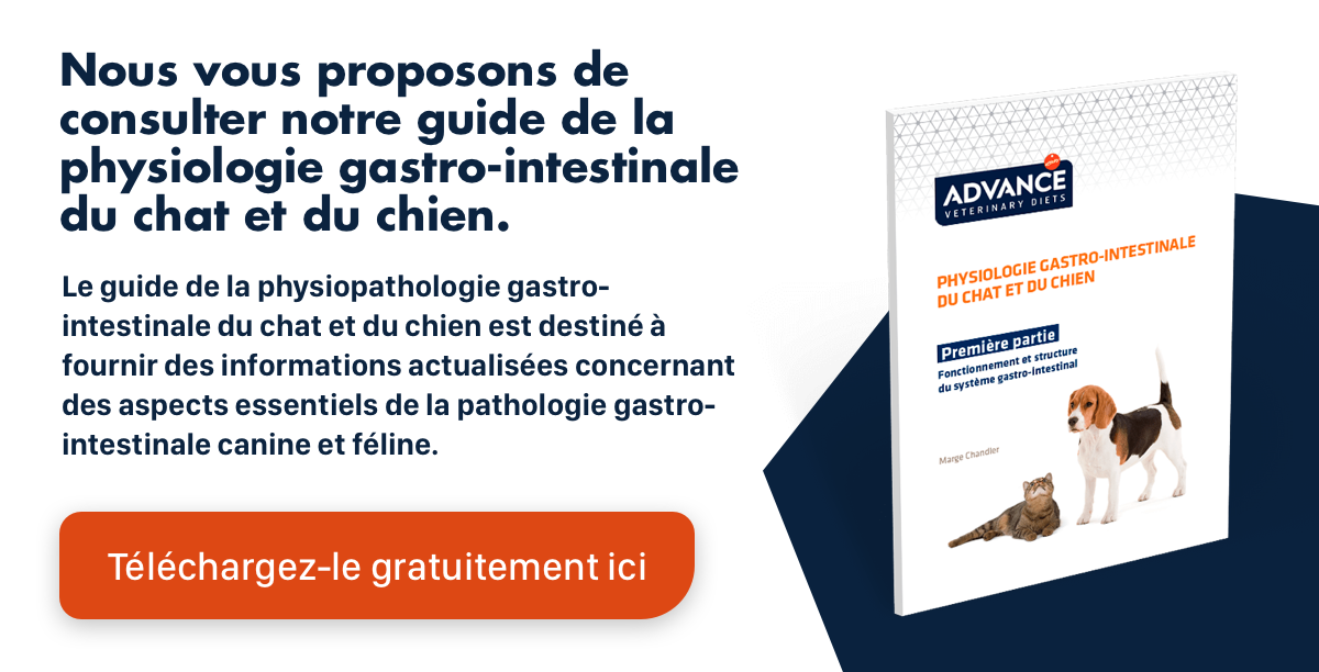 Insuffisance Renale Chez Le Chat Efficacite Clinique Du Benazepril