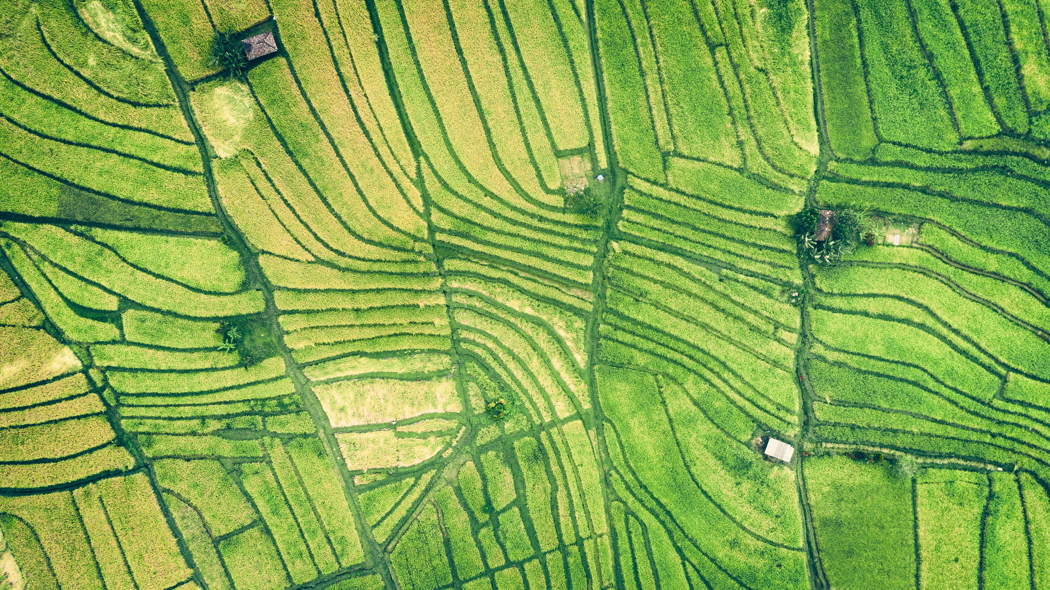 Checklists | Staying Organised in Post-Pandemic Workforce Travel