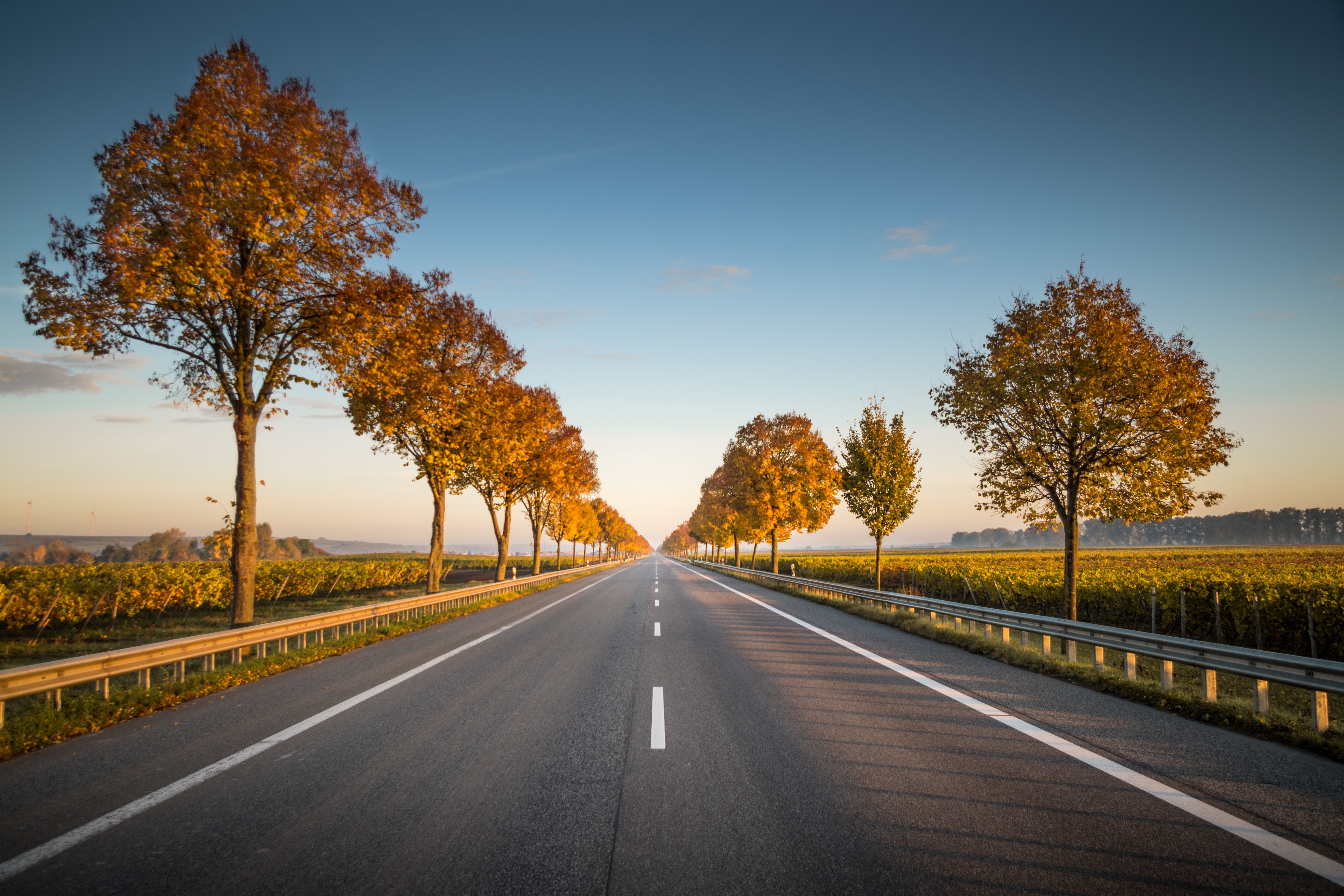 Forward Pricing Report | Q3 DACH