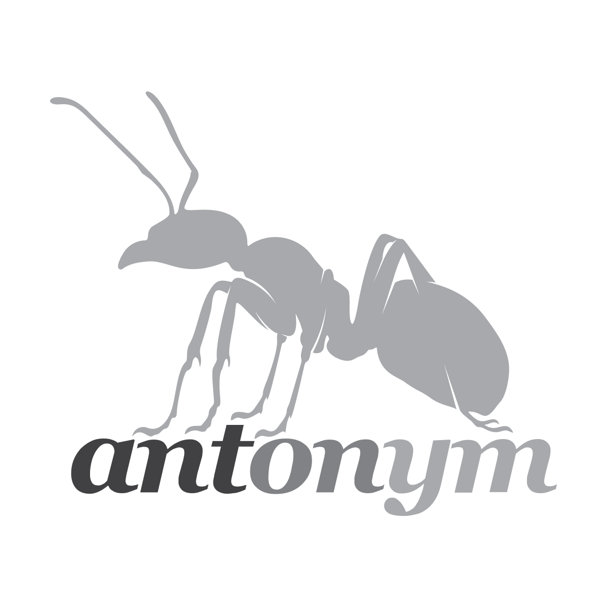 Antonym Creative Co.
