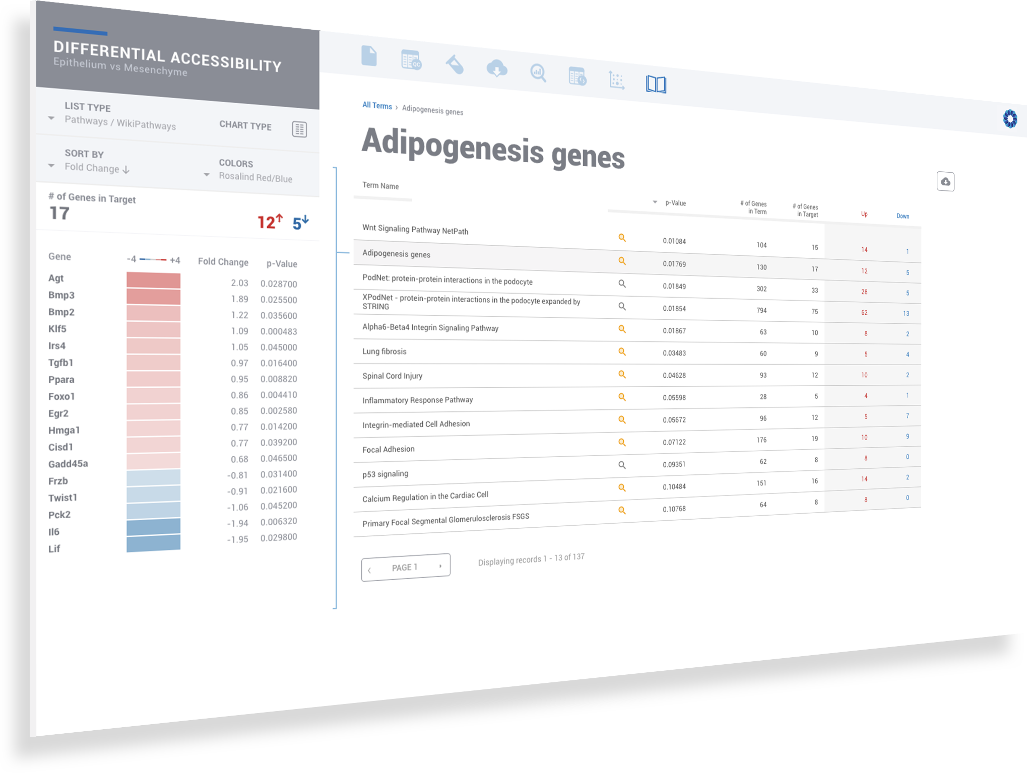 08 - Pathway Overview v2-Final