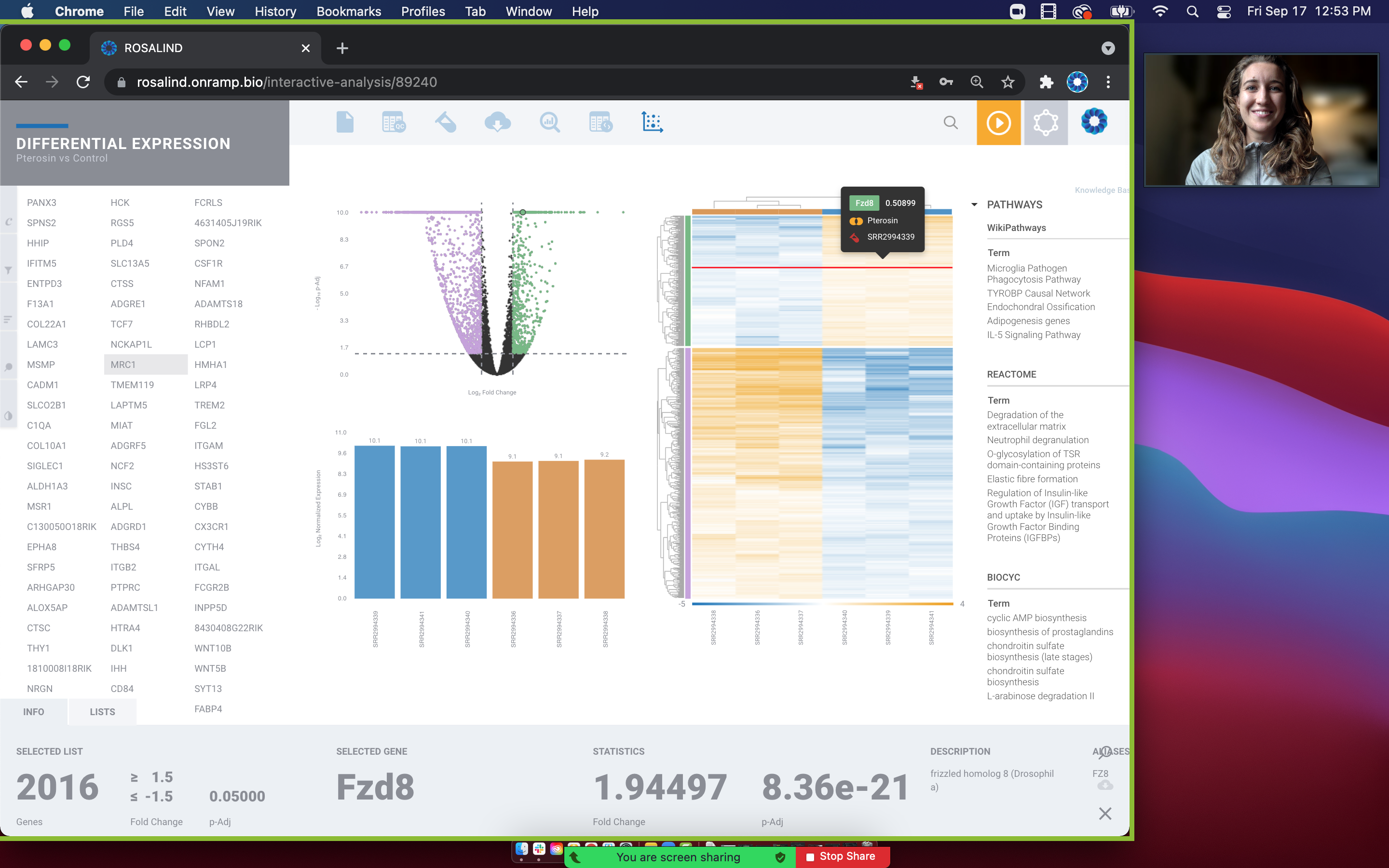 Screen Shot 2021-09-17 at 12.53.39 PM