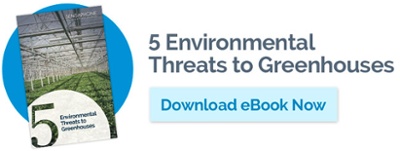 5 Environmental Threats to Greenhouses
