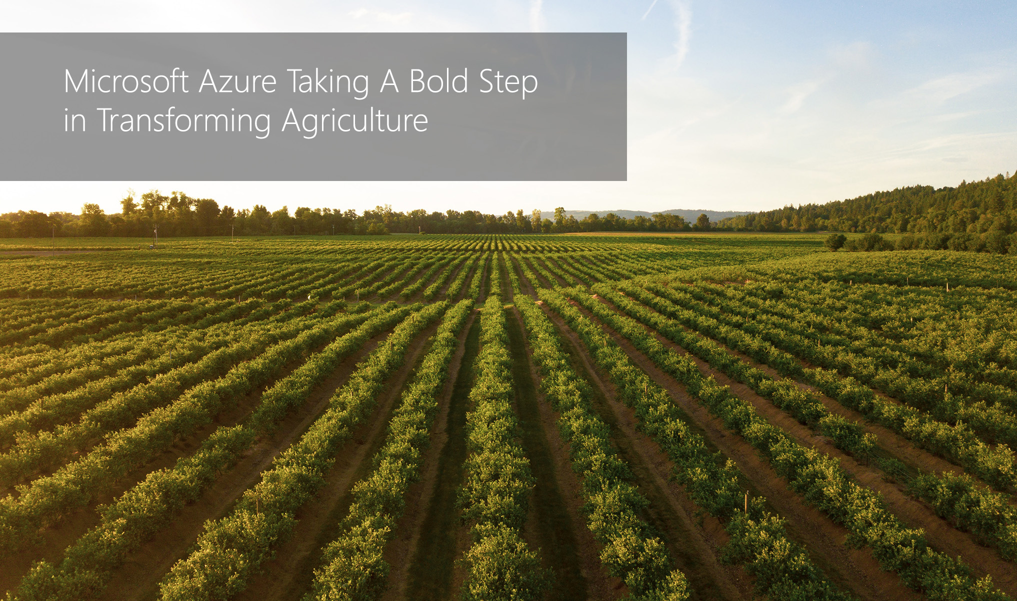 Microsoft Azure Taking A Bold Step In Transforming Agriculture Microsoft Azure Taking A Bold Step In Transforming Agriculture