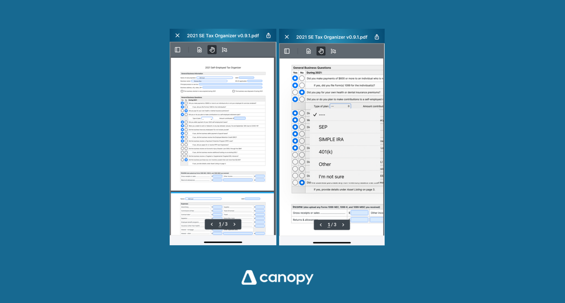 Canopy Client Portal Login Page