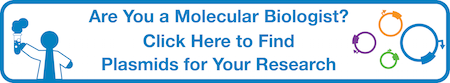Find molecular biology plasmids for your research