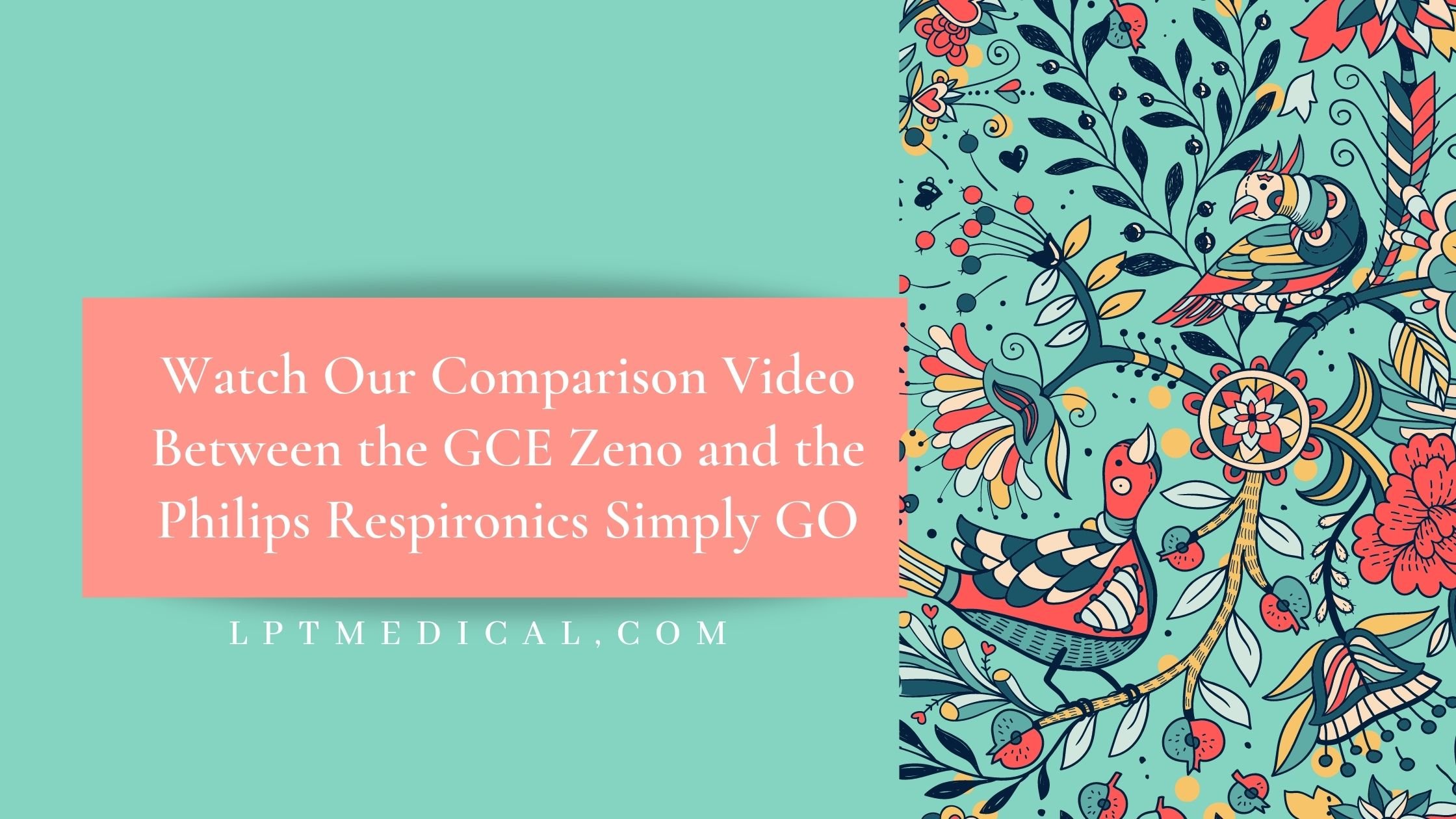 Watch Our Comparison Video Between the GCE Zeno and the Philips Respironics Simply GO