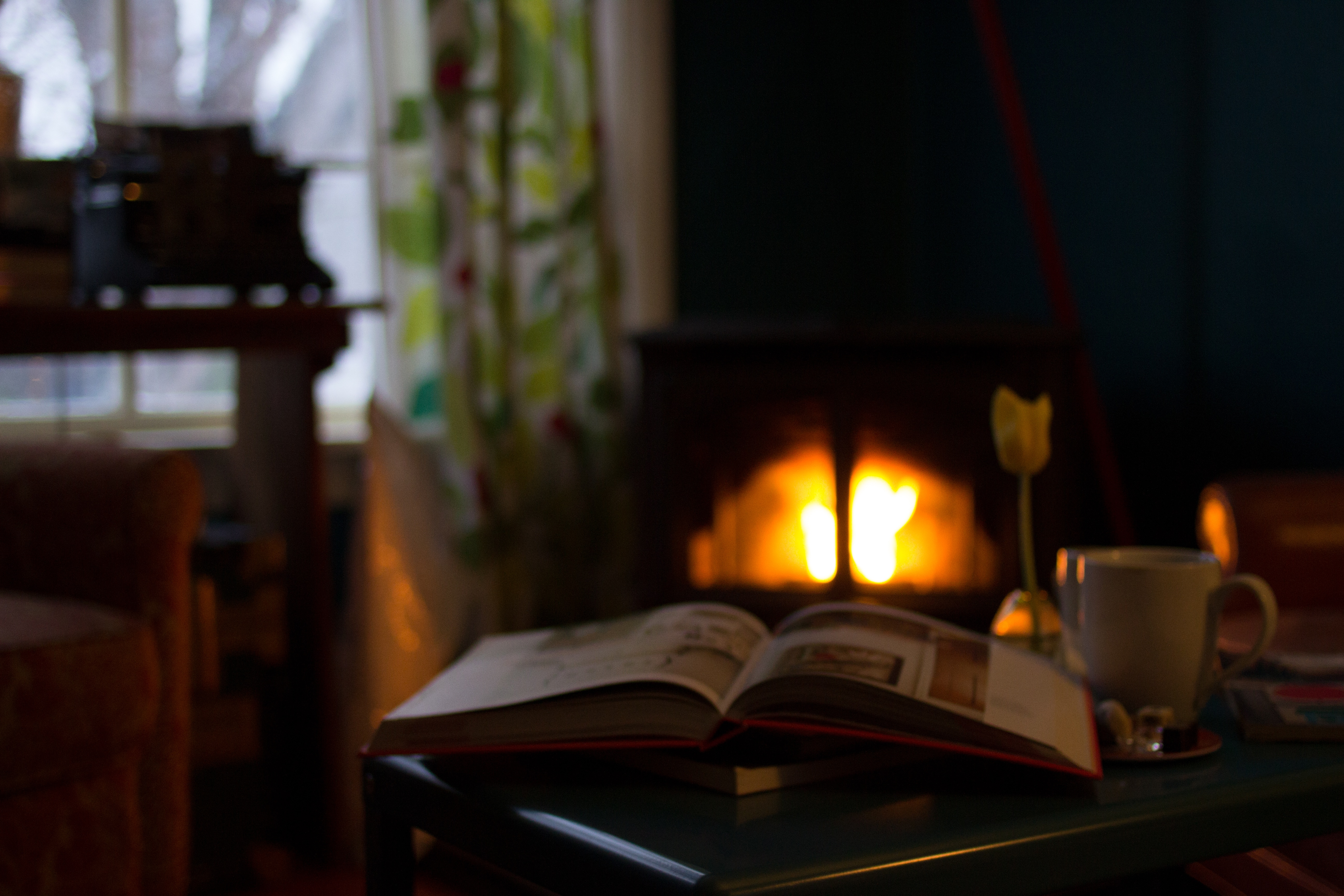 book-warm-cottage-fire-cozy-fireplace-1064-pxhere.com
