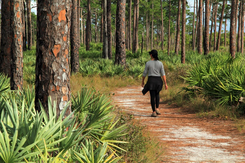 Hiker on a trail in Florida 