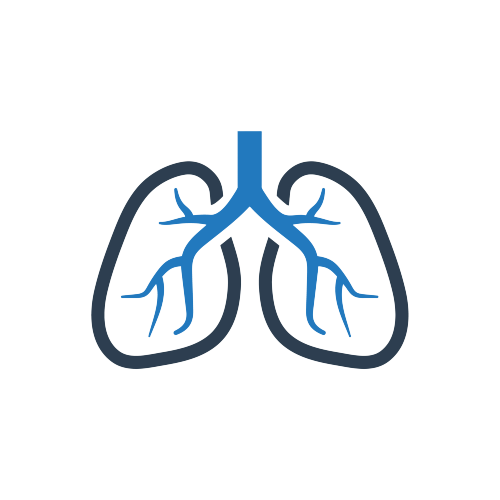 Clipart of human lungs