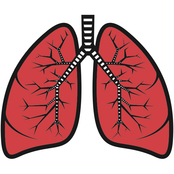 lungs--publicdomainvectors-image
