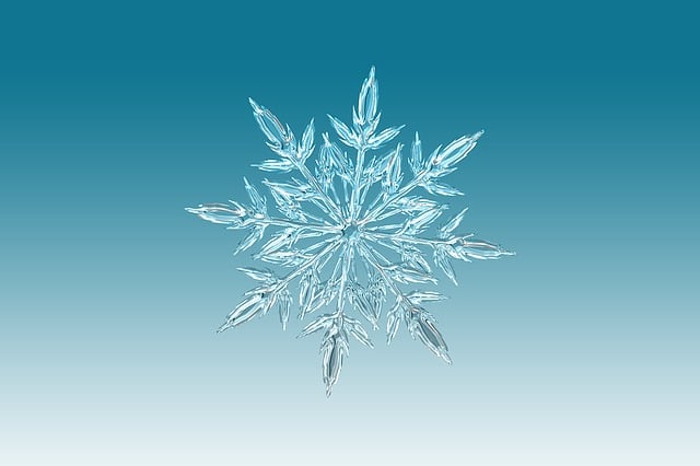 www.maxpixel.net-Crystal-Snowflake-Ice-Crystal-Christmas-1065155