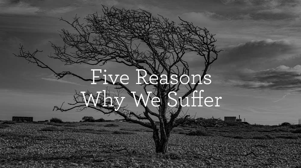 Five Reasons Why We Suffer